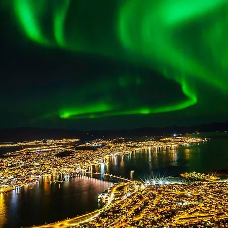Arctic Heart Of *