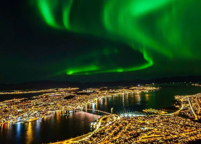 Arctic Heart Of *